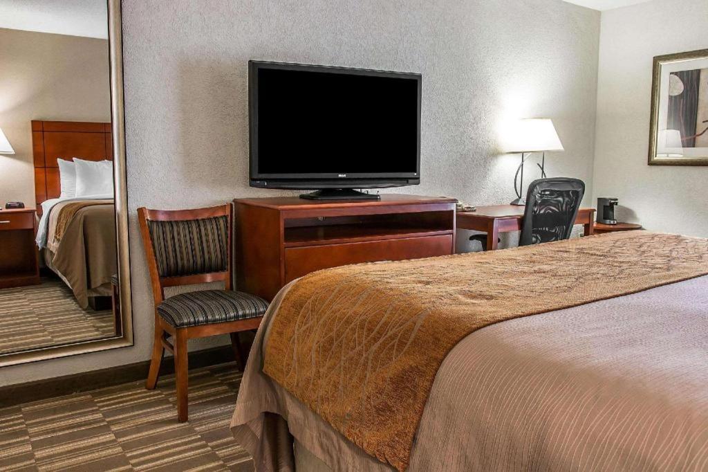 Comfort Inn & Suites University South Ann Arbor Exteriör bild