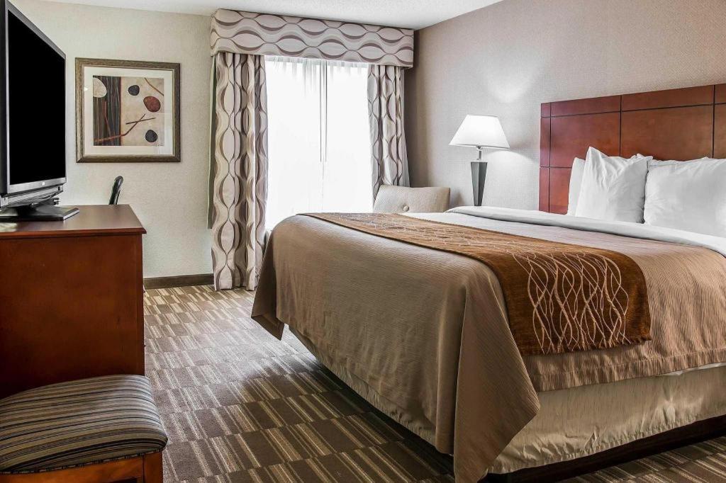 Comfort Inn & Suites University South Ann Arbor Exteriör bild