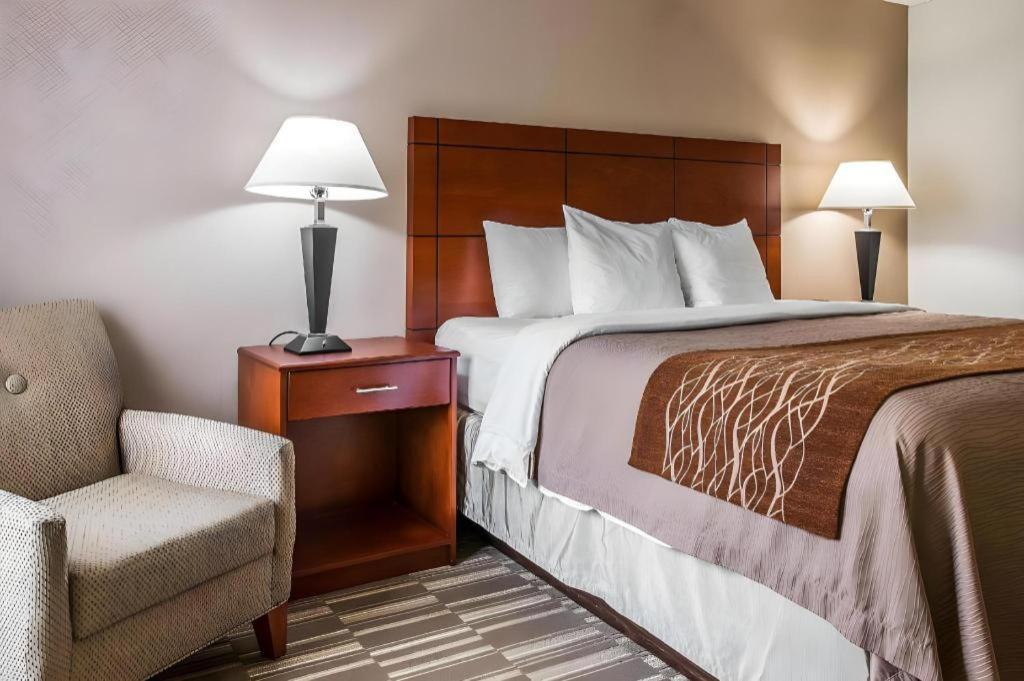 Comfort Inn & Suites University South Ann Arbor Exteriör bild