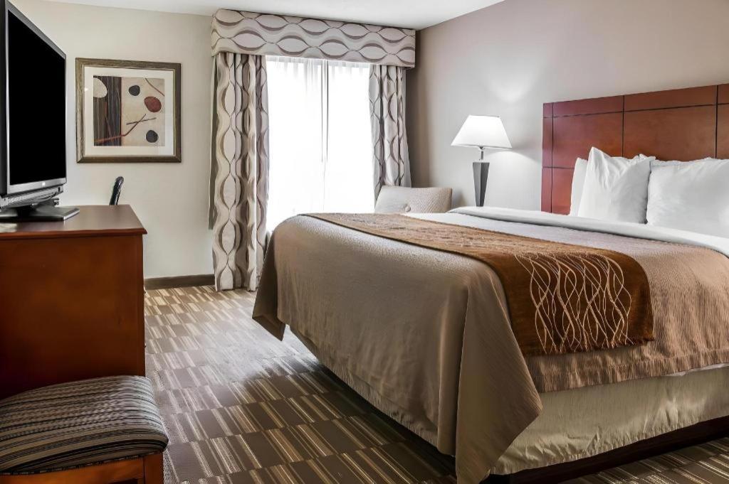 Comfort Inn & Suites University South Ann Arbor Exteriör bild
