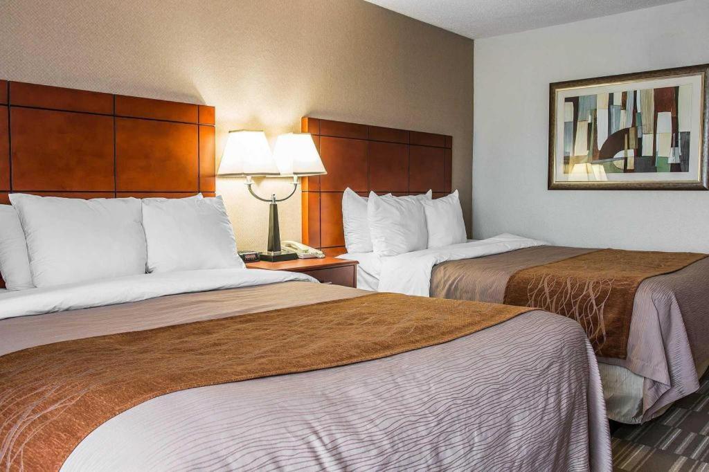 Comfort Inn & Suites University South Ann Arbor Exteriör bild