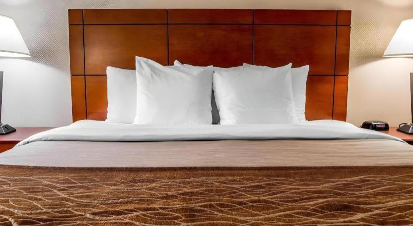 Comfort Inn & Suites University South Ann Arbor Exteriör bild