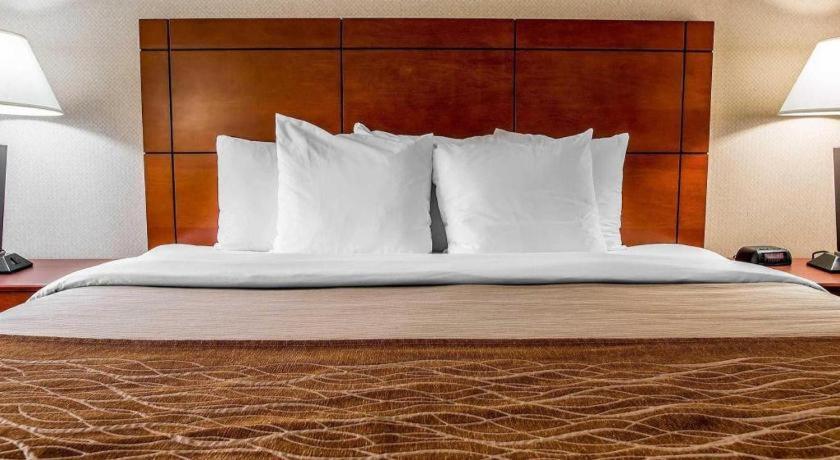 Comfort Inn & Suites University South Ann Arbor Exteriör bild