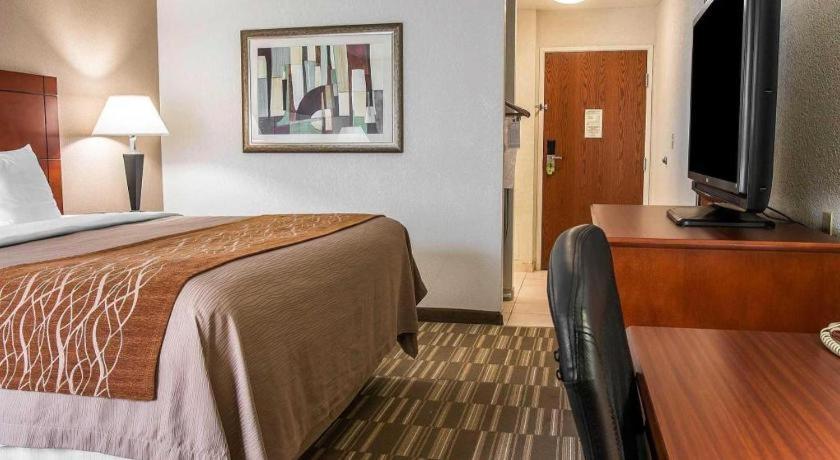 Comfort Inn & Suites University South Ann Arbor Exteriör bild
